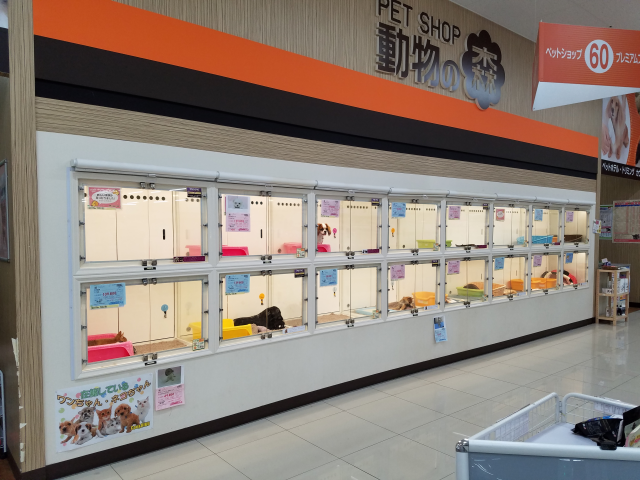 海動物病院　高知御座往診所