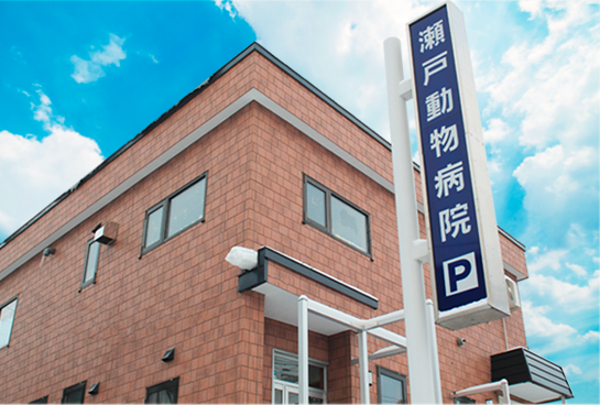 瀬戸動物病院