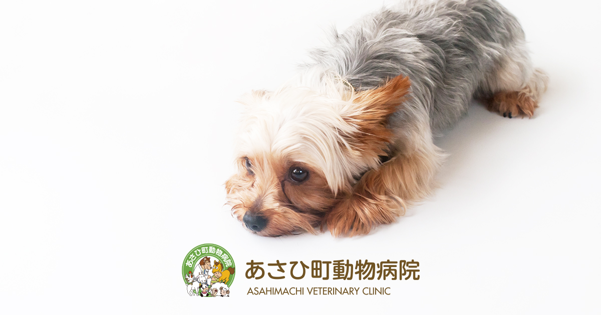 あさひ町動物病院