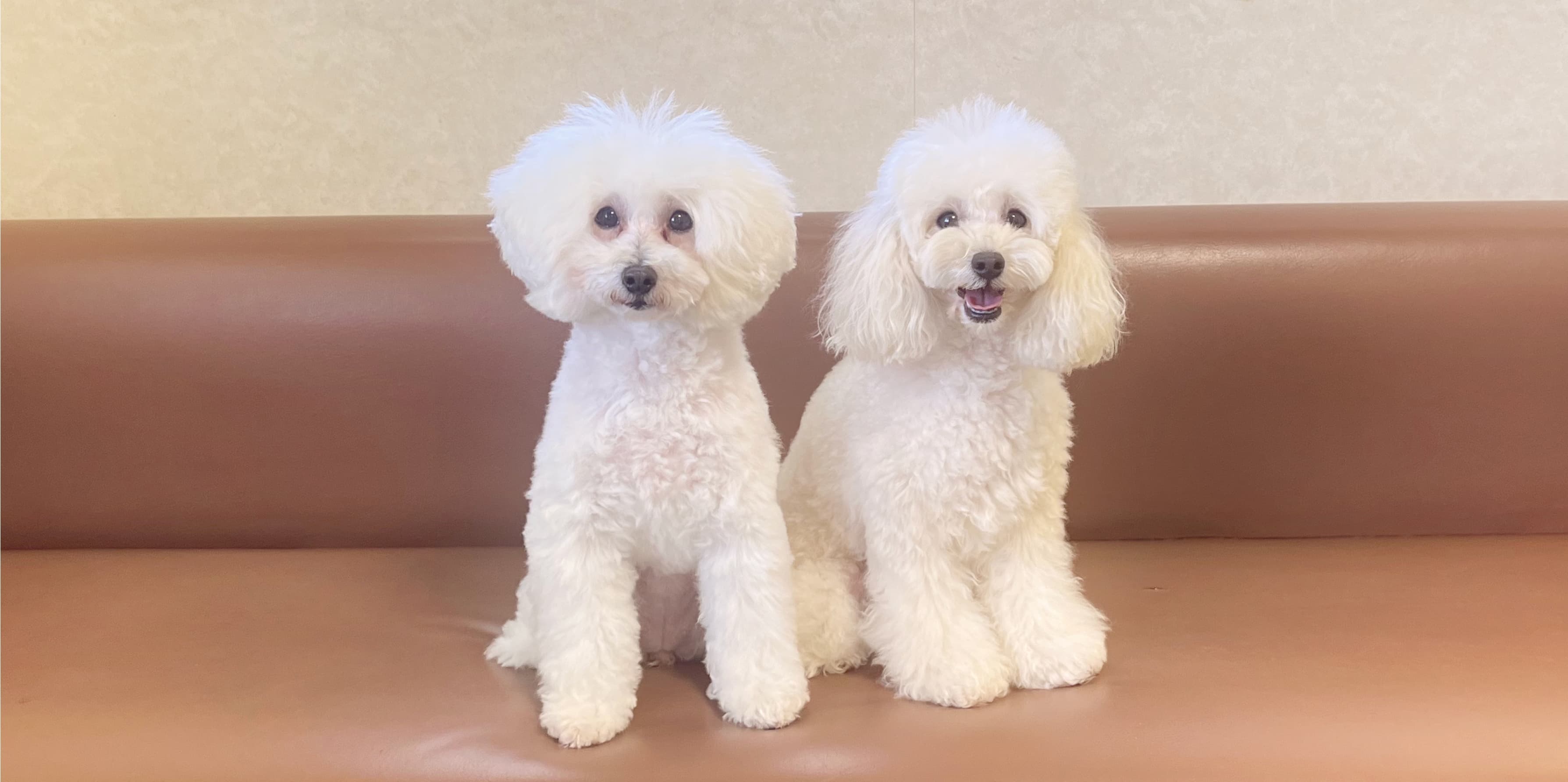 メル犬猫クリニック