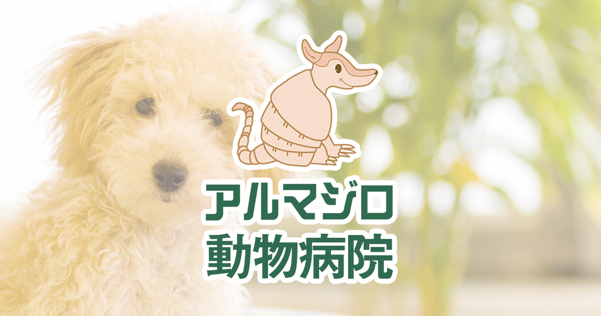 アルマジロ動物病院