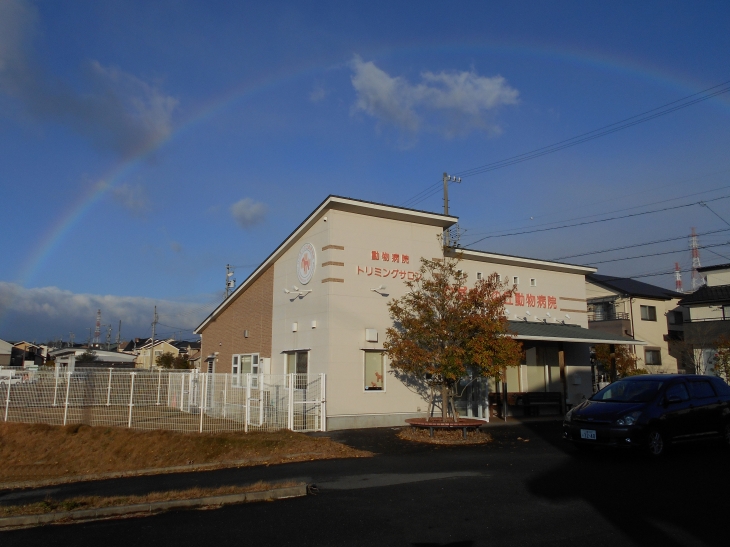ひだまりの丘動物病院