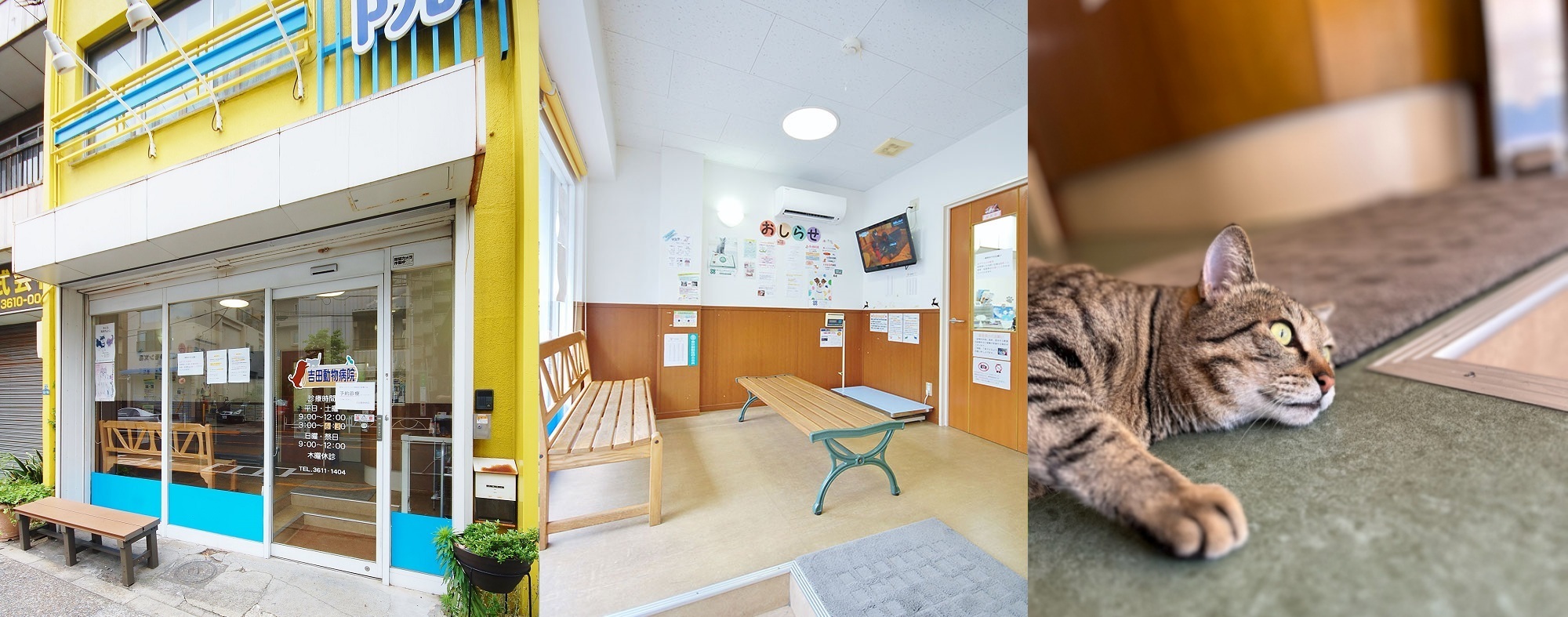 墨田動物医療センター 吉田動物病院