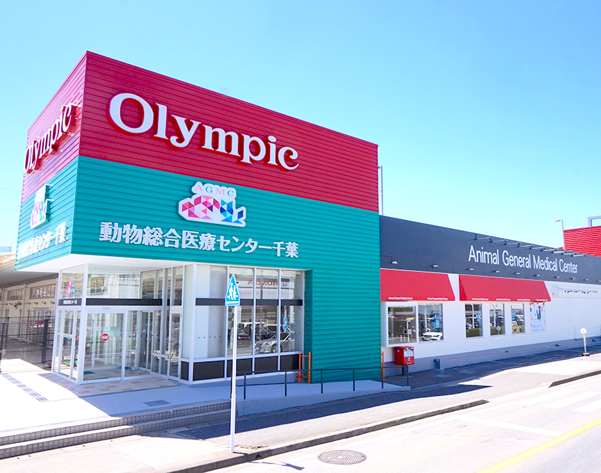 動物総合医療センター千葉