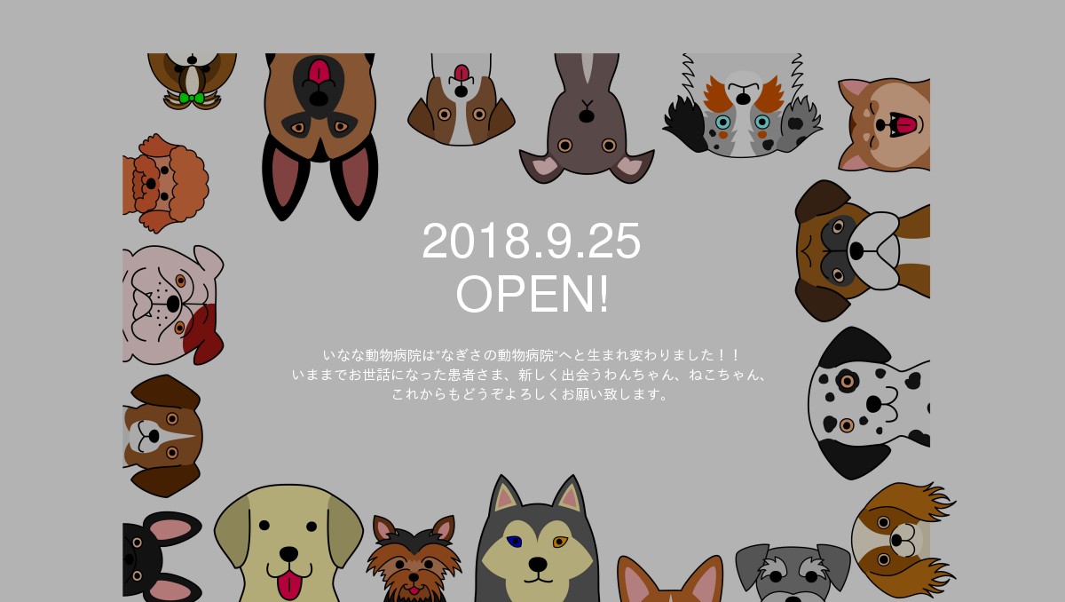 なぎさの動物病院