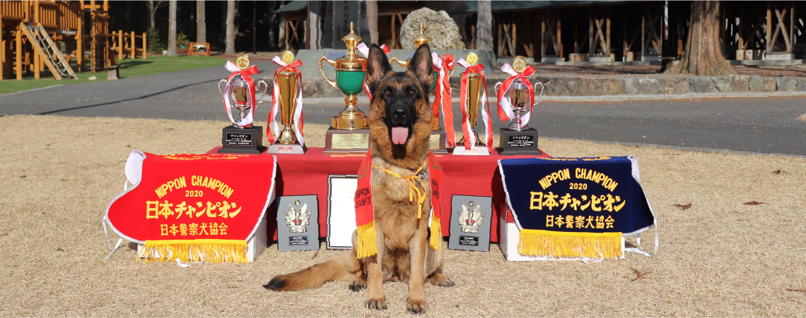 セントラルドッグスクール