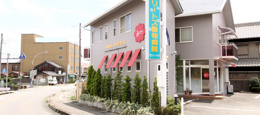 アニマリートス動物病院