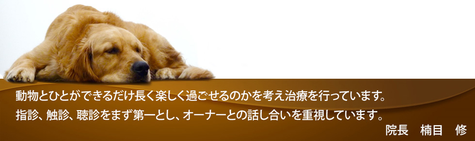 動物の病院くすめ