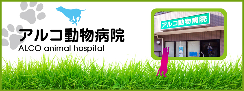 アルコ動物病院
