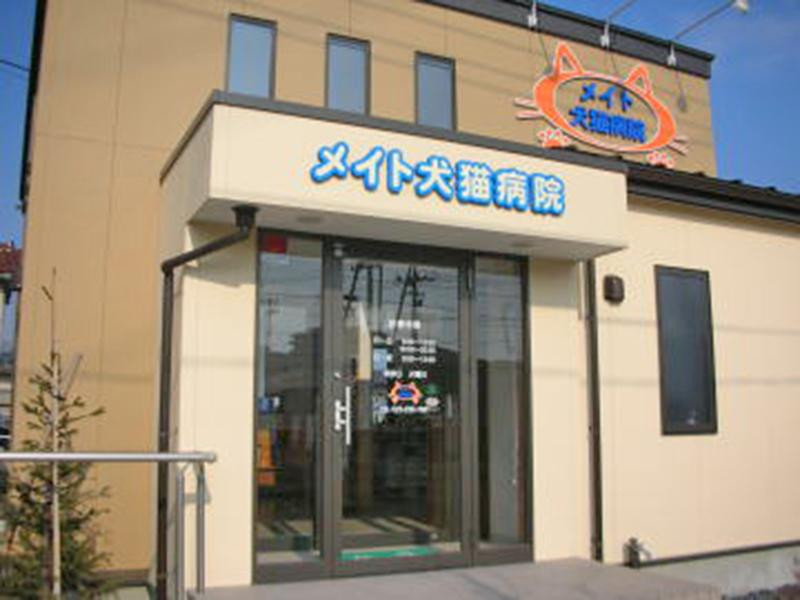 メイト犬猫病院