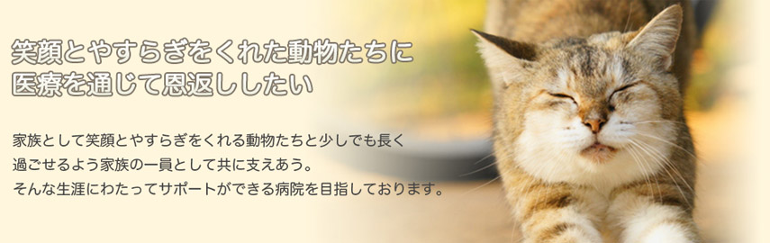 だるま動物病院