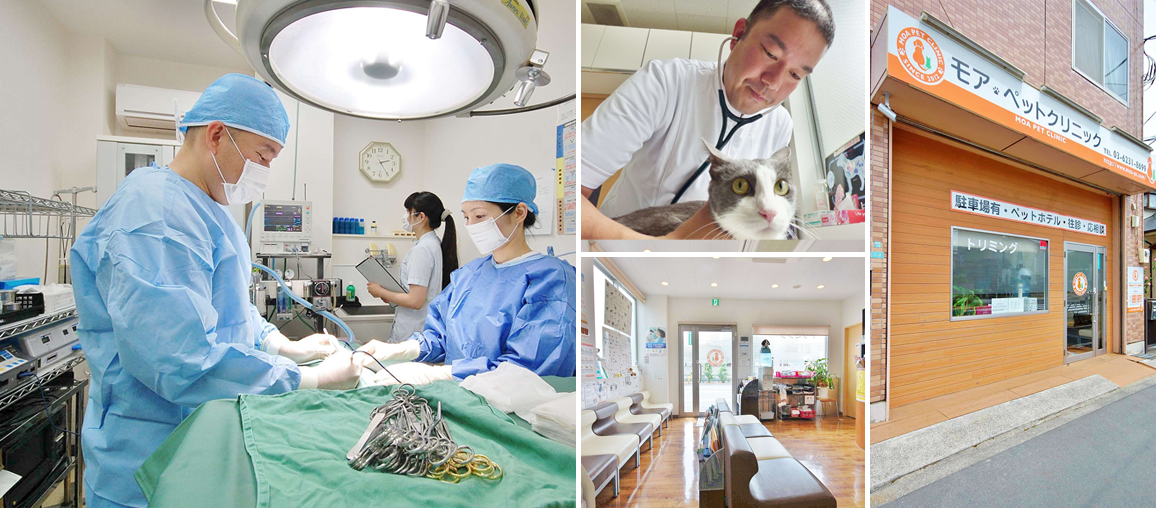 モアペットクリニック
