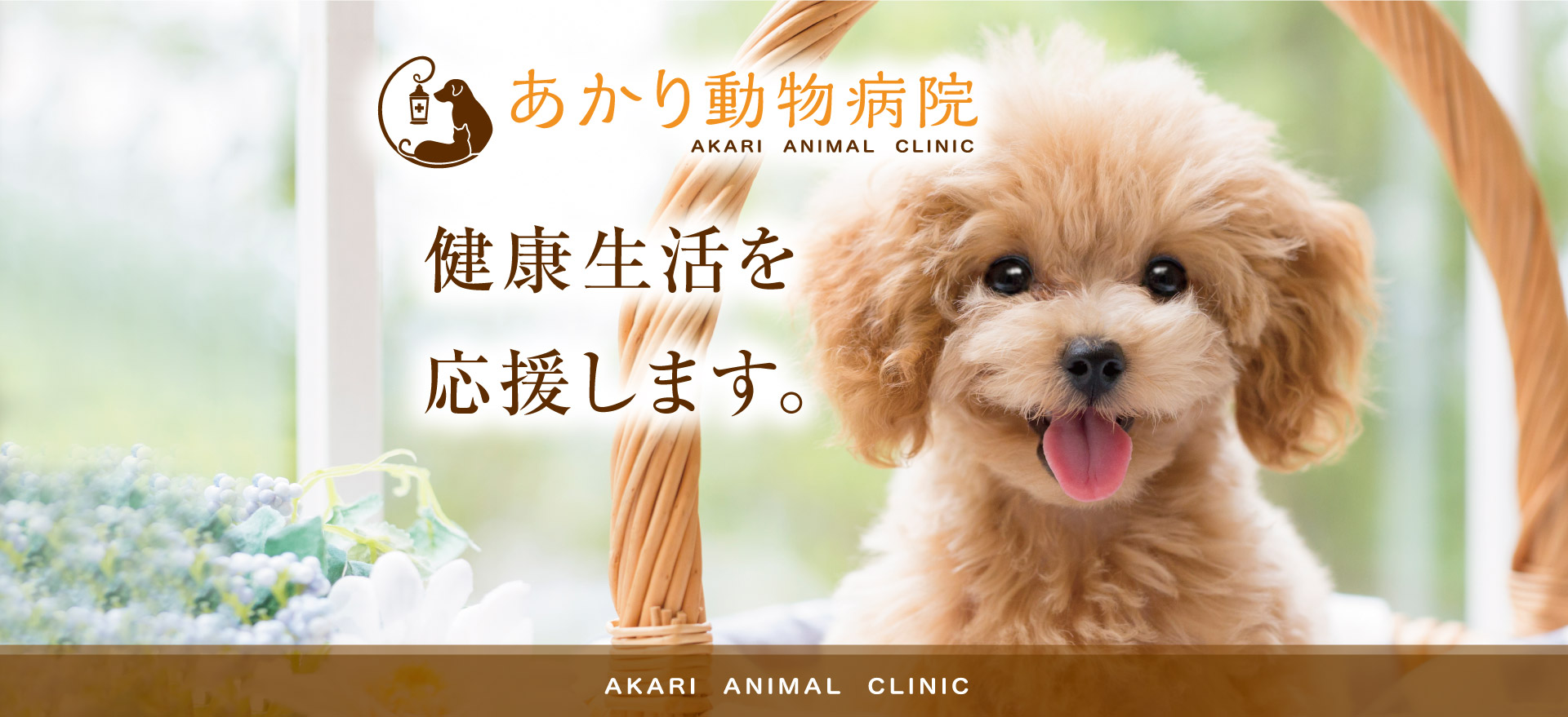 あかり動物病院