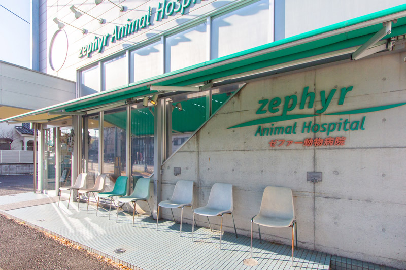 ゼファー動物病院