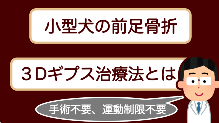 いしじま動物病院【柏市豊四季】