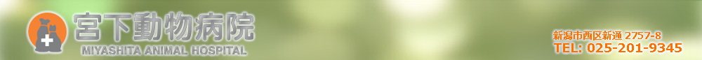 宮下動物病院