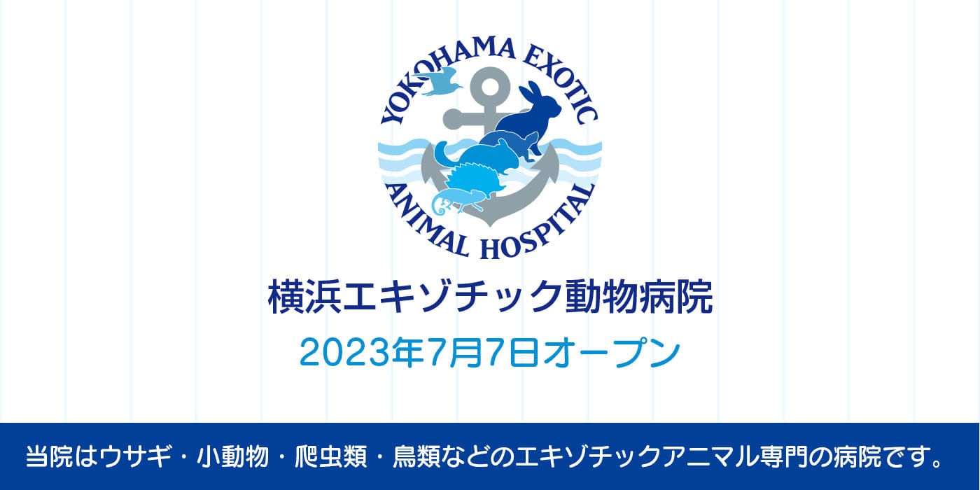 横浜エキゾチック動物病院