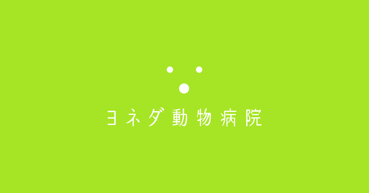ヨネダ動物病院