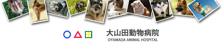 大山田動物病院