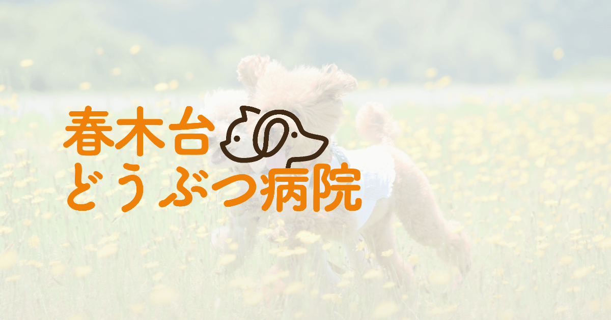 春木台どうぶつ病院