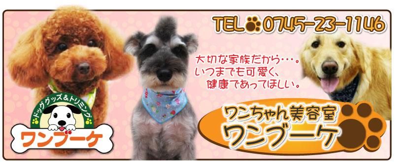 ドッググッズ&トリミング ワンブーケ