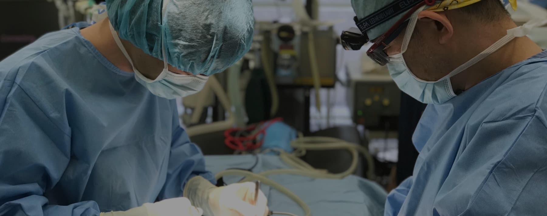 川瀬獣医科病院