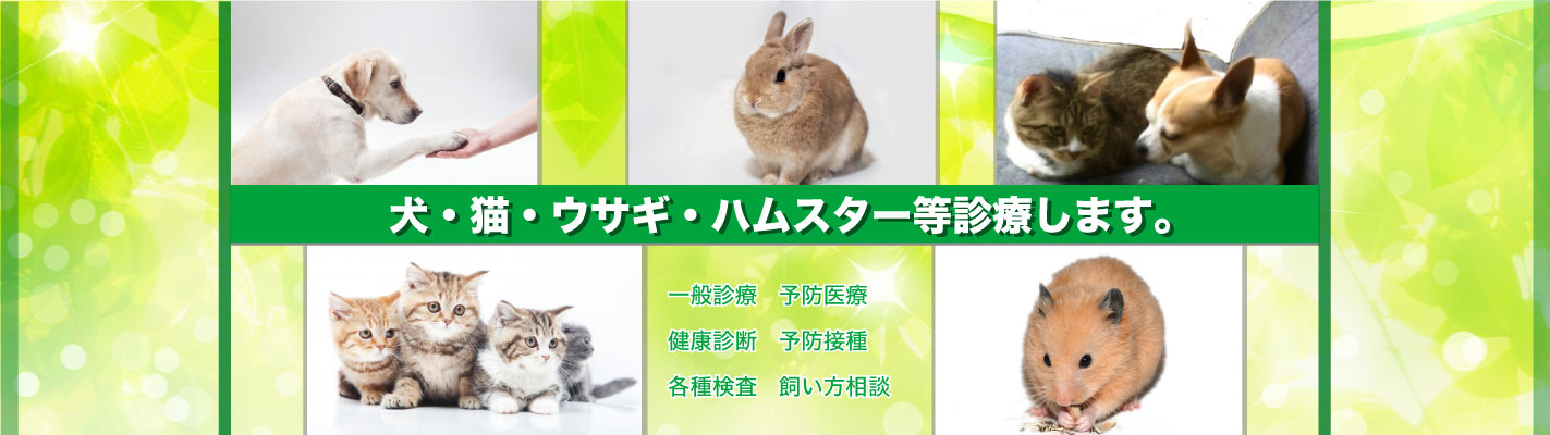 姪浜どうぶつ病院