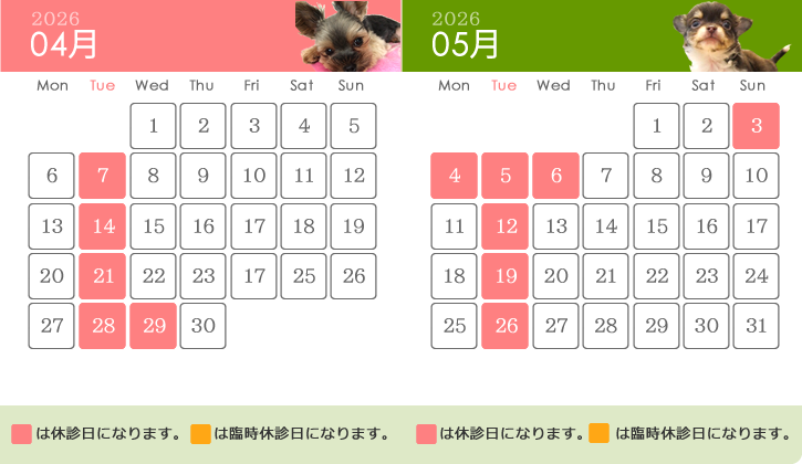 桜ヶ丘ペットクリニック