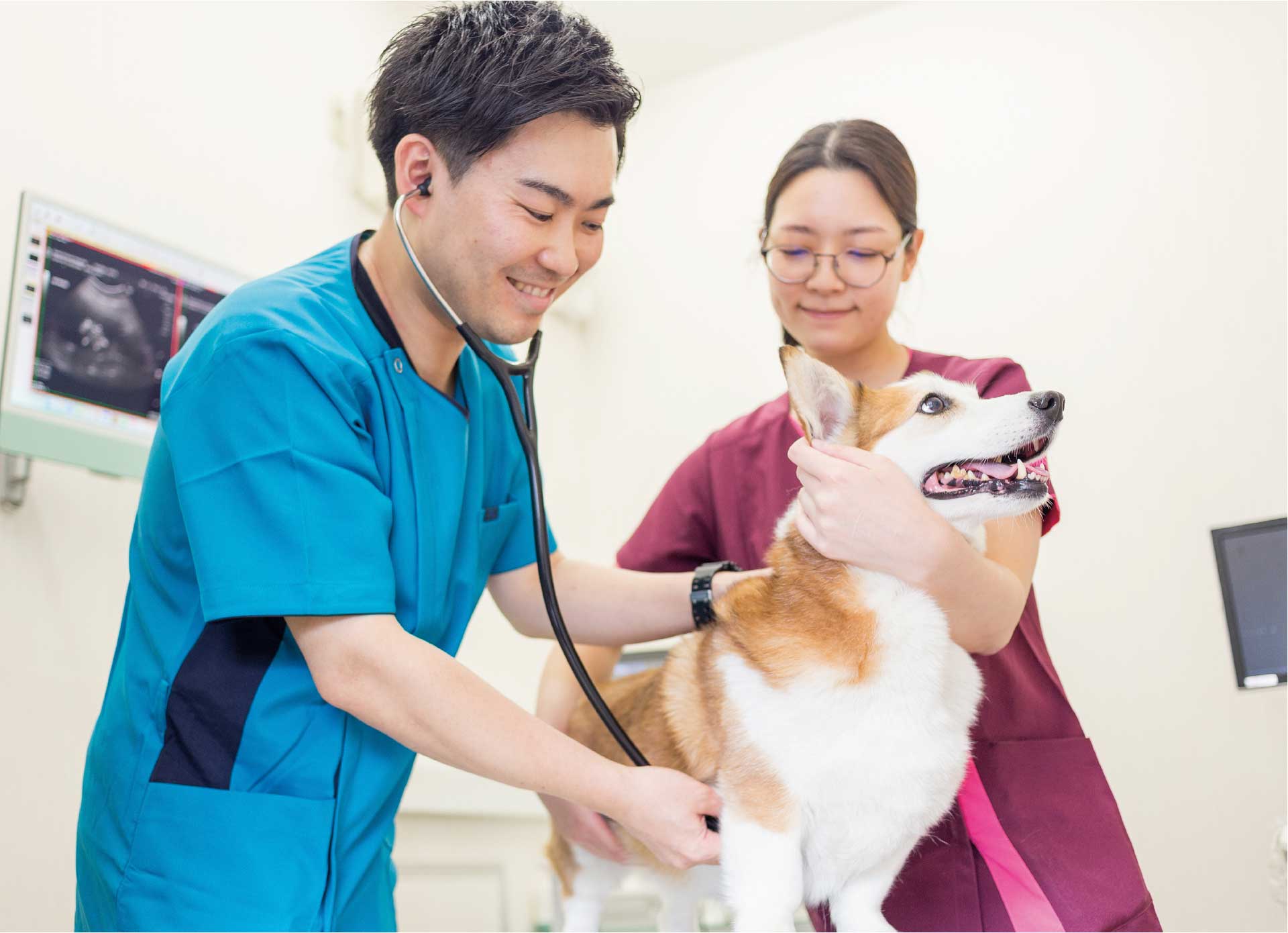 オアシス動物病院