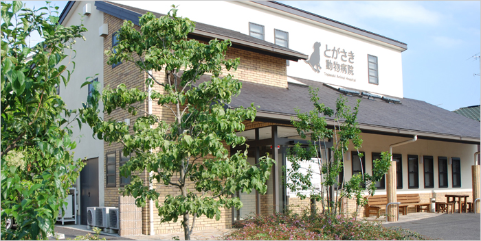 とがさき動物病院