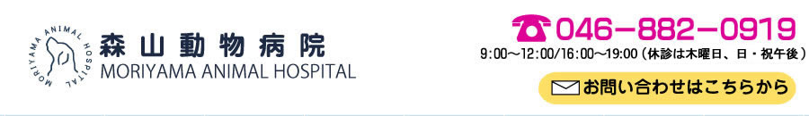 森山動物病院