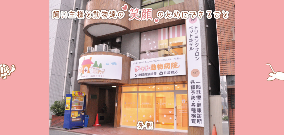 チャト動物病院