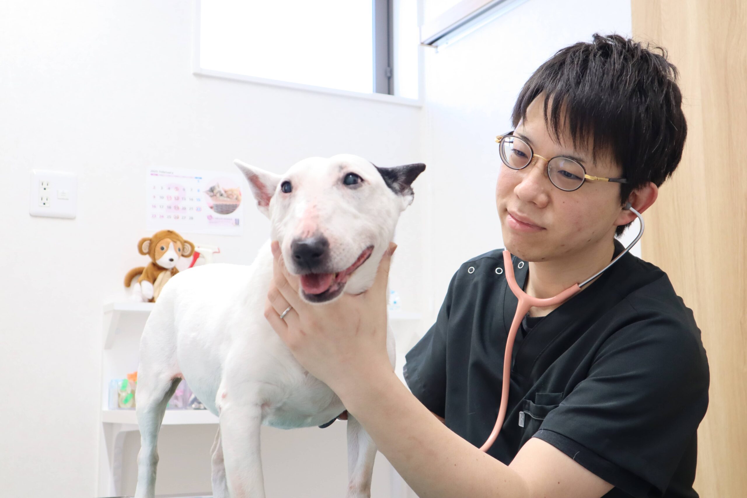 みはま動物病院