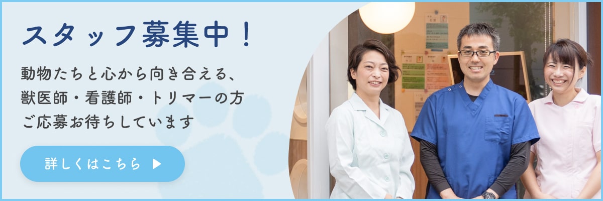 にじいろアニマルクリニック