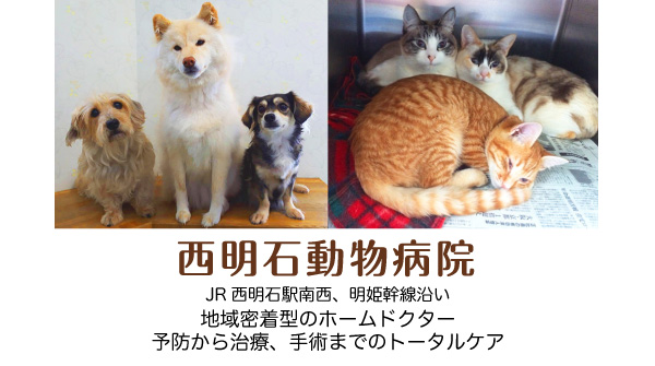 西明石動物病院