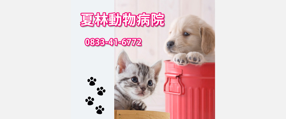 夏林動物病院