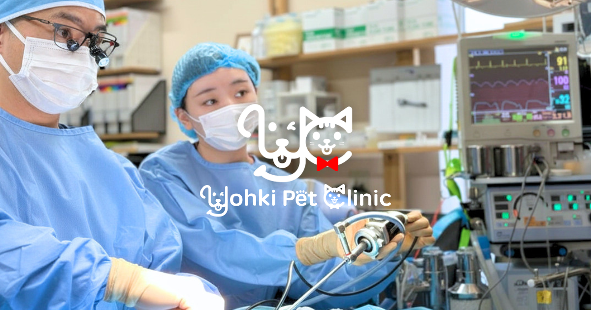 ようきペットクリニック