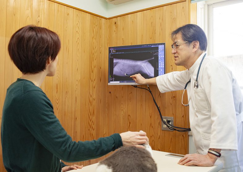 星の動物クリニック