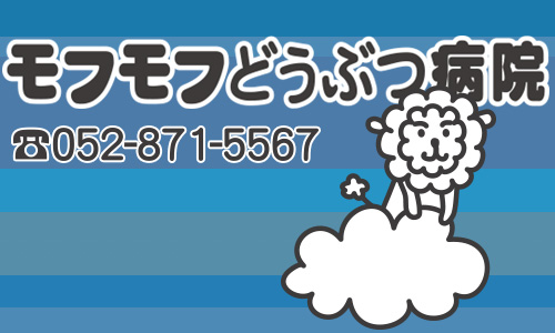 モフモフどうぶつ病院