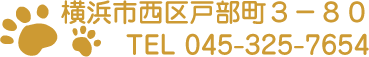 戸部ウータン動物病院