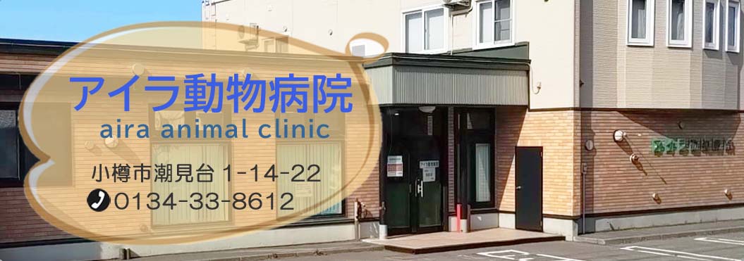 アイラ動物病院