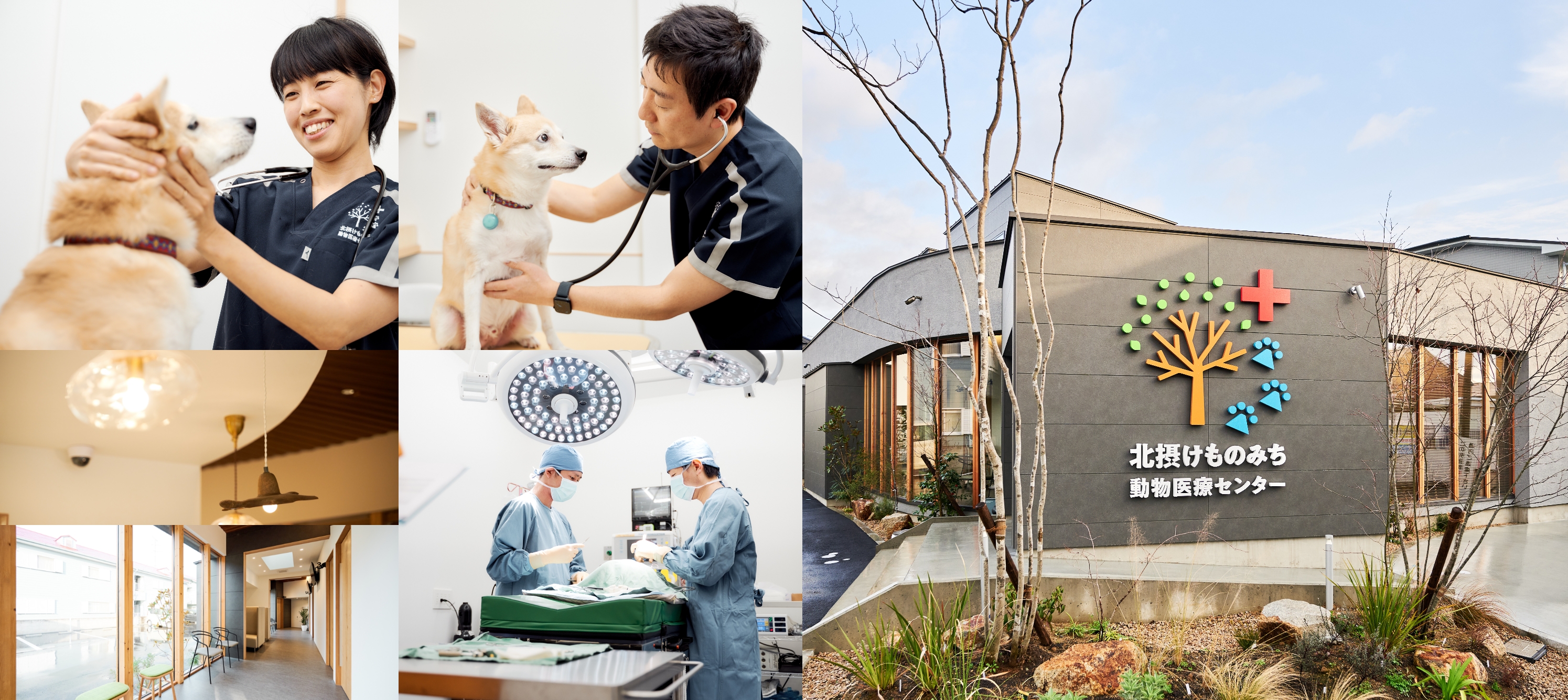 北摂けものみち動物医療センター