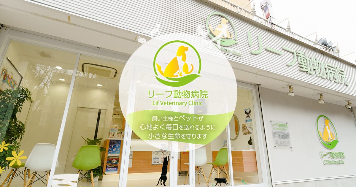 リーフ動物病院