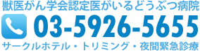 板橋中央どうぶつ病院
