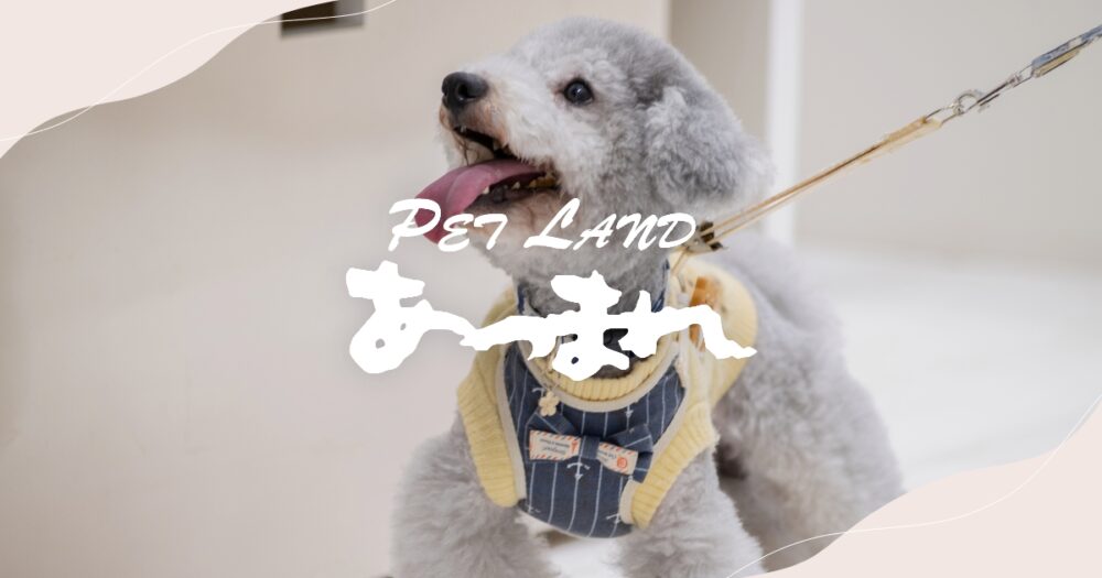 ペットランドあつまれ山口弐番館