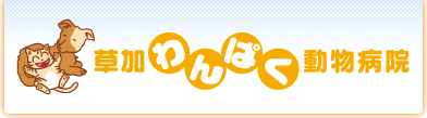 草加わんぱく動物病院