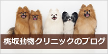 桃坂動物クリニック
