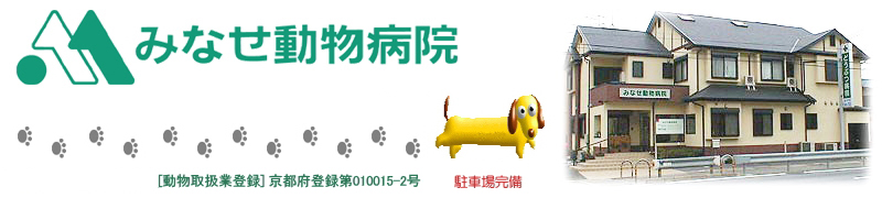 みなせ動物病院