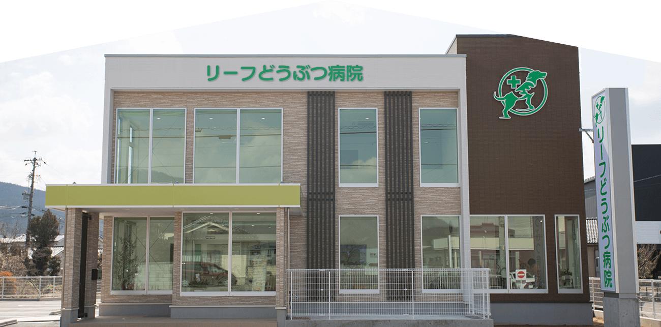 リーフどうぶつ病院