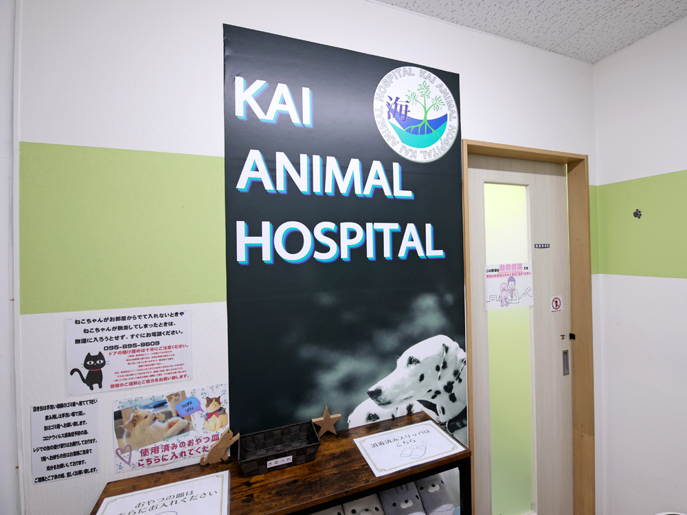 海動物病院　長崎浜町往診所